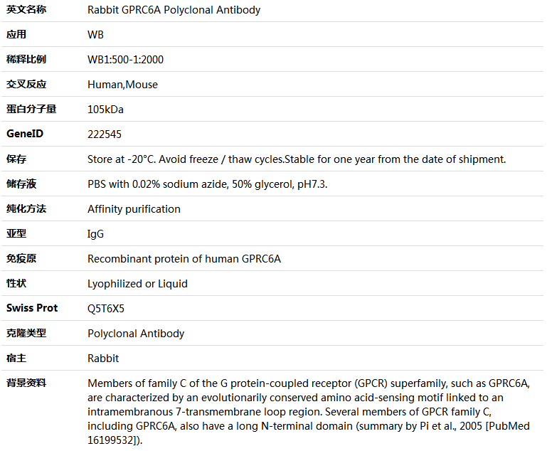 GPRC6A Antibody,索莱宝,K005896P-50ul