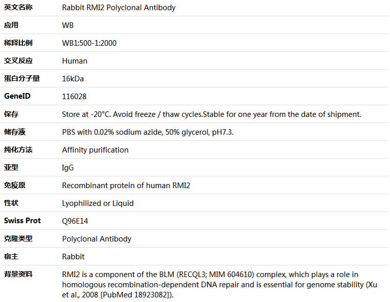 RMI2 Antibody,索莱宝,K005894P-50ul