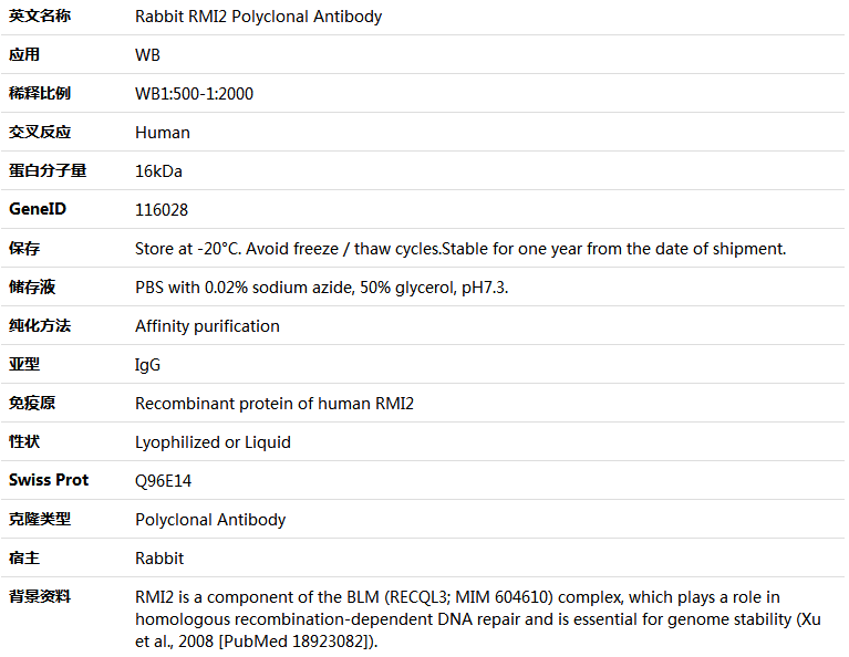 RMI2 Antibody,索莱宝,K005894P-100ul
