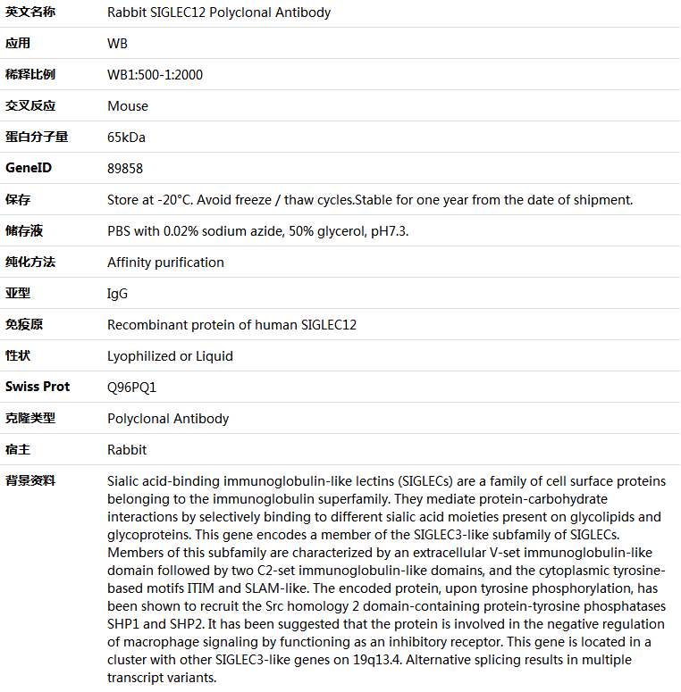 SIGLEC12 Antibody,索莱宝,K005892P-100ul