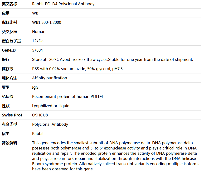 POLD4 Antibody,索莱宝,K005883P-100ul