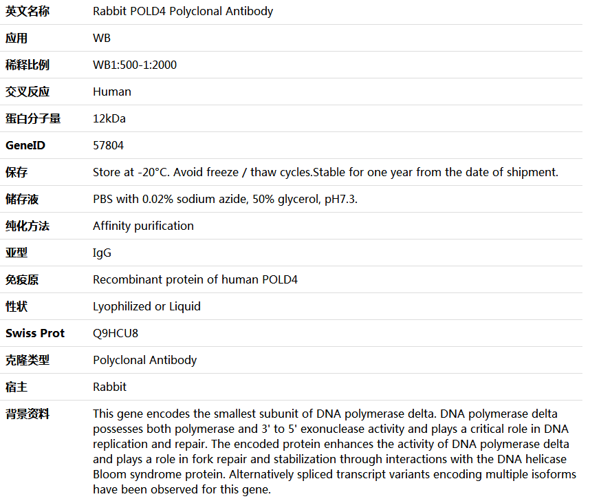 POLD4 Antibody,索莱宝,K005883P-50ul