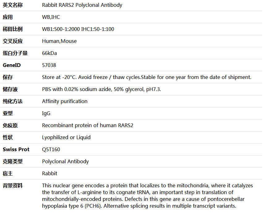 RARS2 Antibody,索莱宝,K005882P-50ul