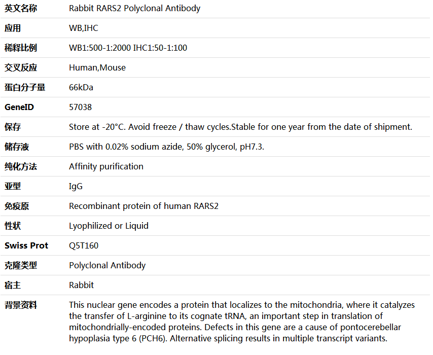 RARS2 Antibody,索莱宝,K005882P-100ul