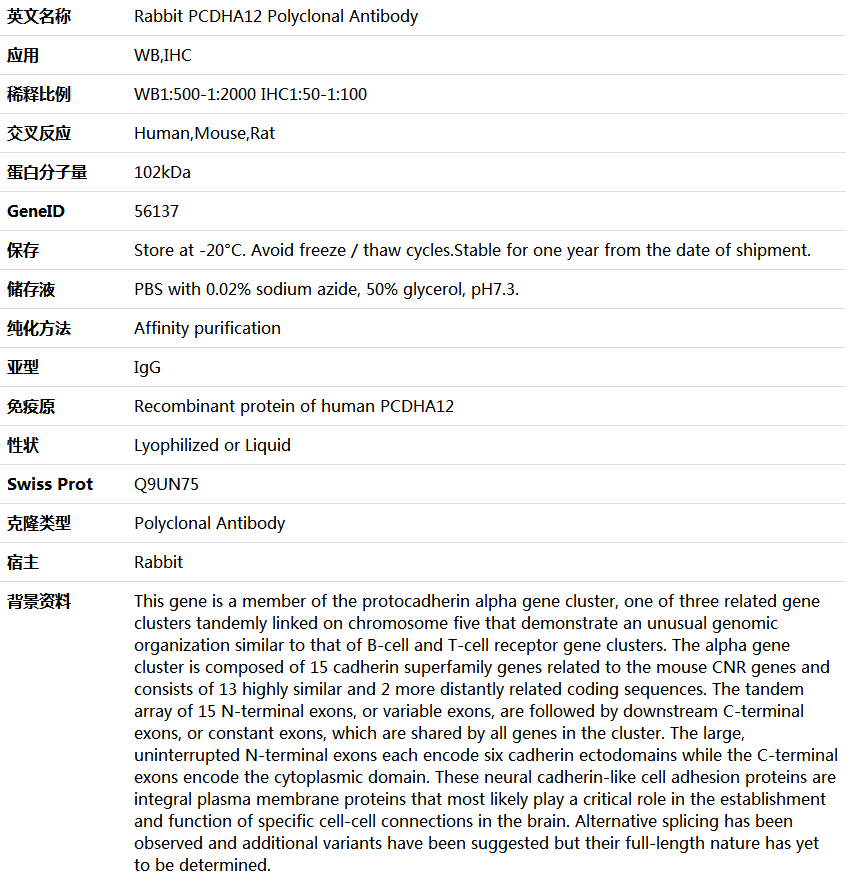 PCDHA12 Antibody,索莱宝,K005880P-50ul