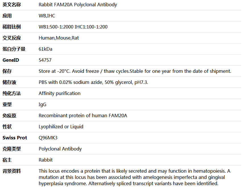 FAM20A Antibody,索莱宝,K005877P-50ul