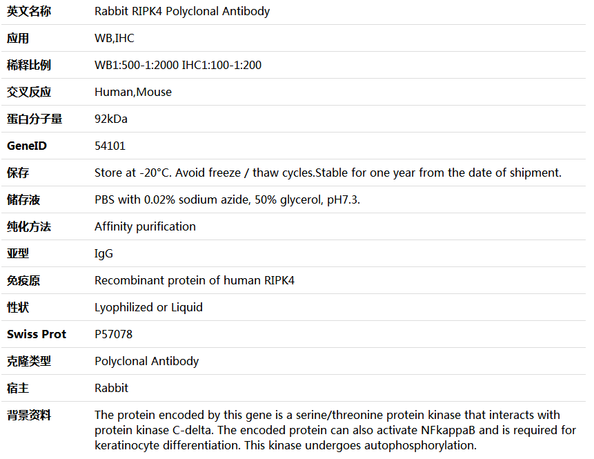 RIPK4 Antibody,索莱宝,K005876P-100ul