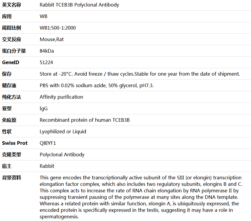 TCEB3B Antibody,索莱宝,K005874P-100ul