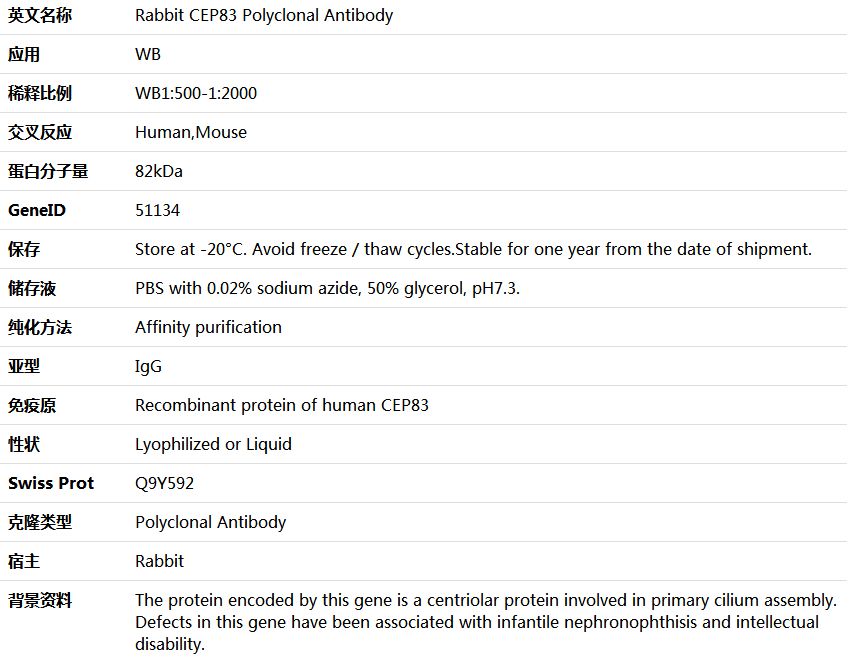 CEP83 Antibody,索莱宝,K005873P-100ul