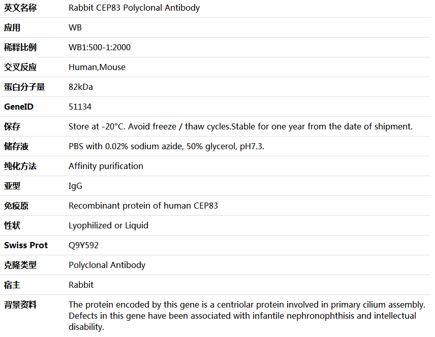 CEP83 Antibody,索莱宝,K005873P-50ul