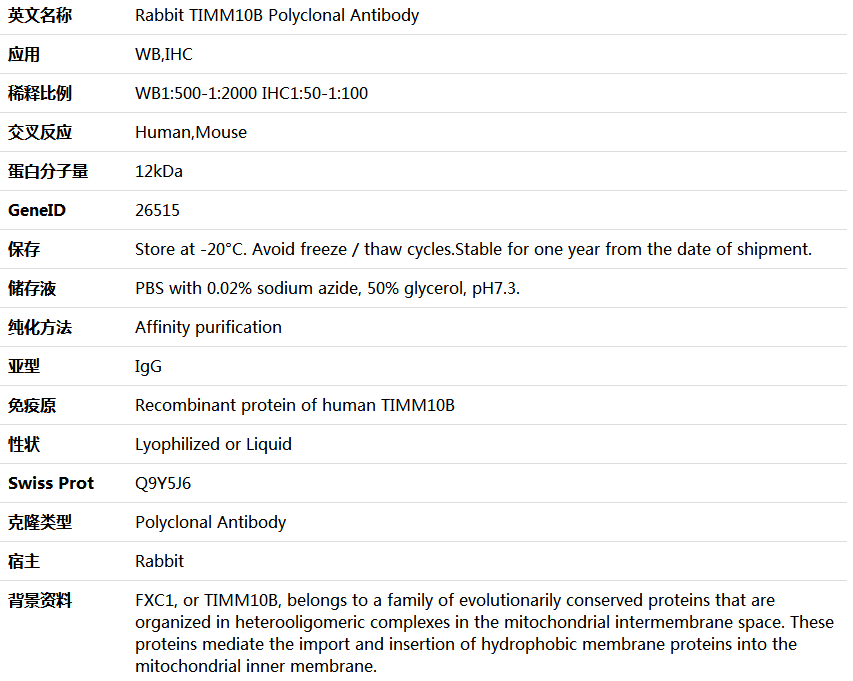 TIMM10B Antibody,索莱宝,K005870P-50ul