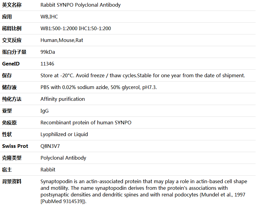 SYNPO Antibody,索莱宝,K005869P-100ul