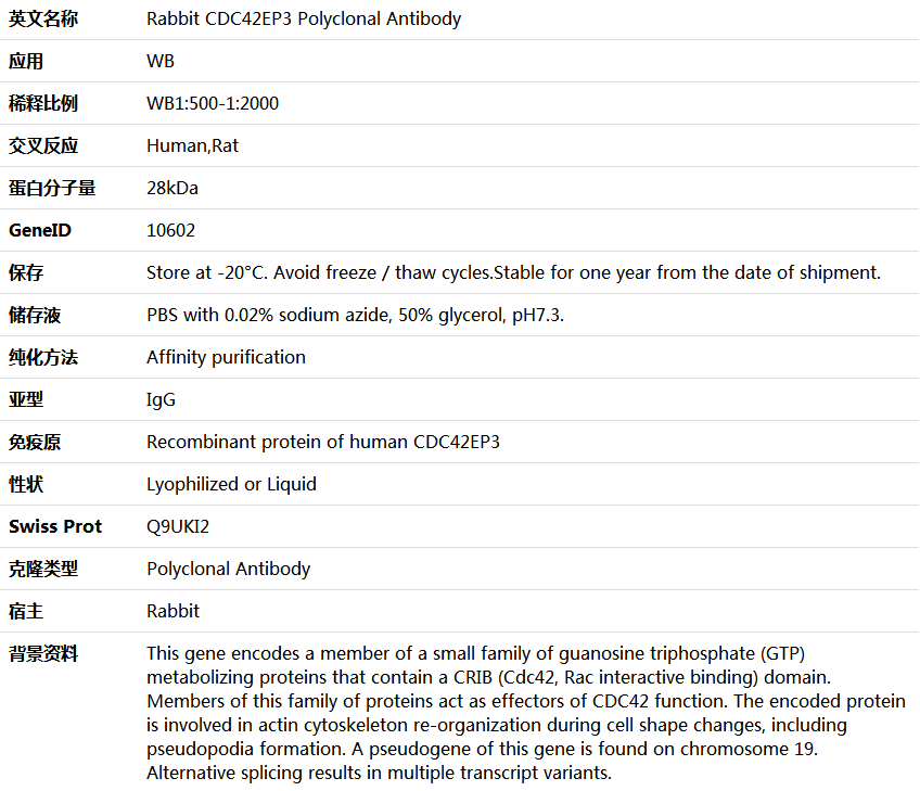 CDC42EP3 Antibody,索莱宝,K005867P-50ul