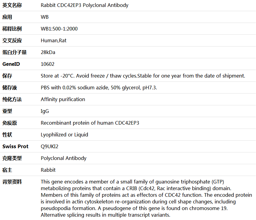 CDC42EP3 Antibody,索莱宝,K005867P-100ul