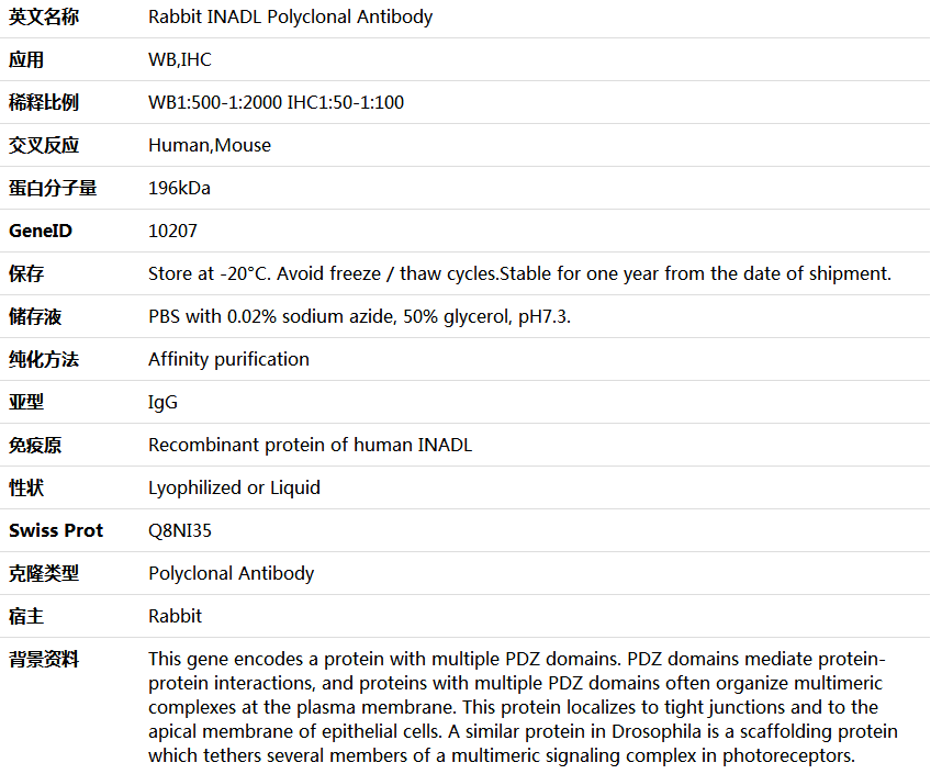INADL Antibody,索莱宝,K005864P-100ul