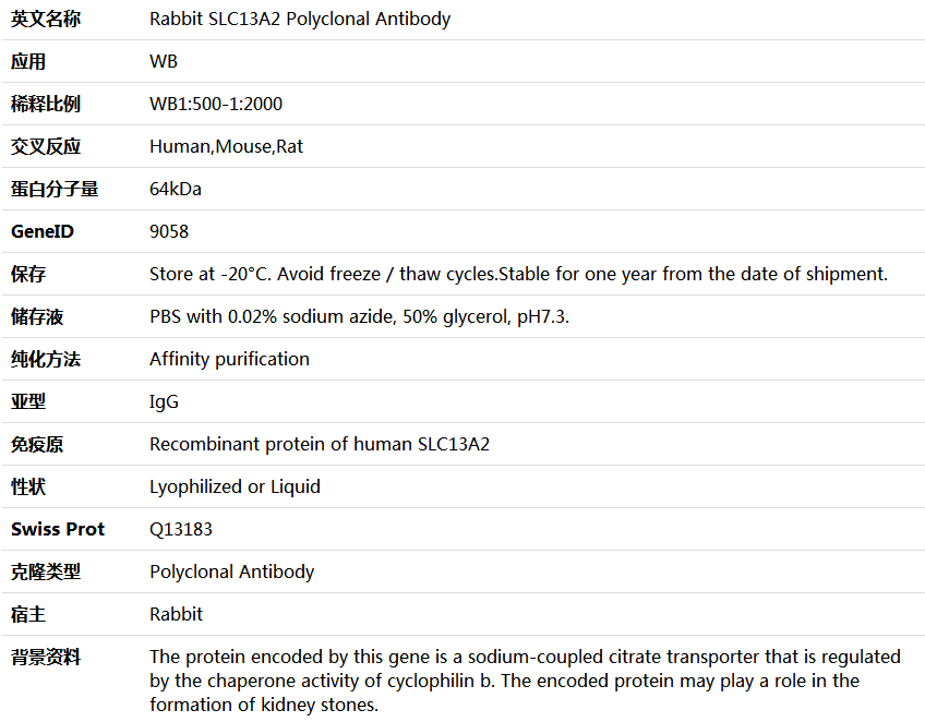 SLC13A2 Antibody,索莱宝,K005863P-50ul