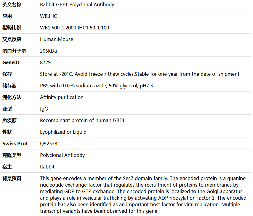 GBF1 Antibody,索莱宝,K005860P-50ul