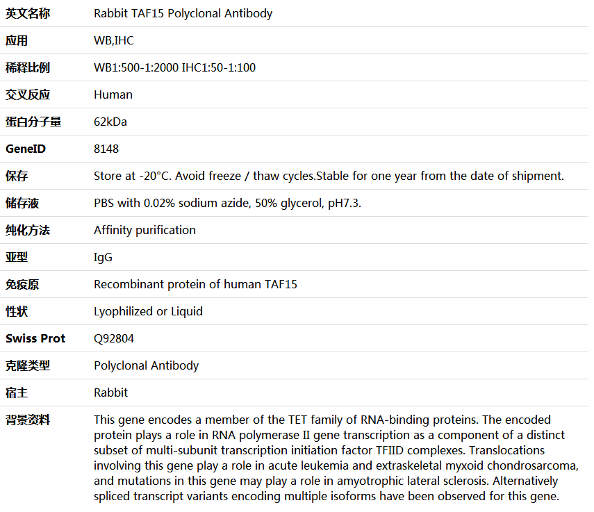 TAF15 Antibody,索莱宝,K005858P-100ul