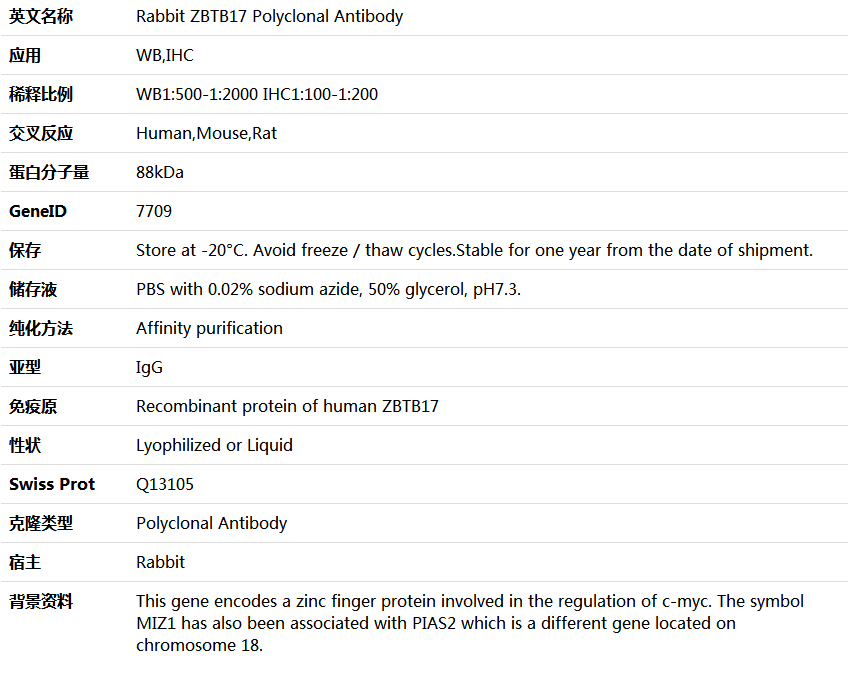ZBTB17 Antibody,索莱宝,K005857P-100ul