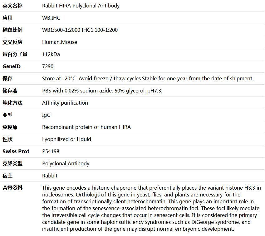 HIRA Antibody,索莱宝,K005855P-50ul