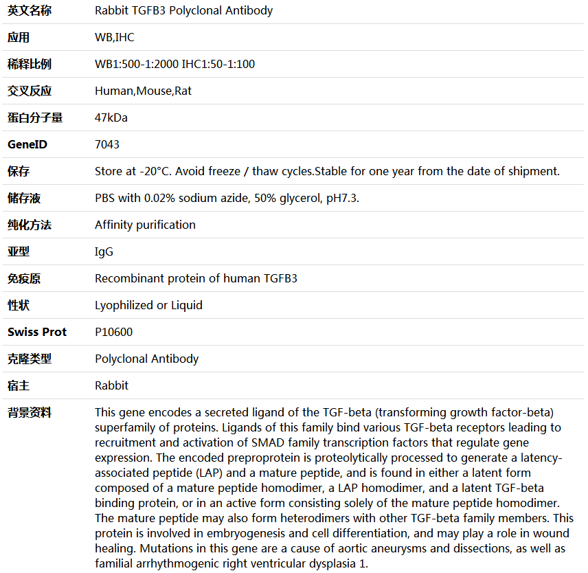 TGFB3 Antibody,索莱宝,K005854P-30ul