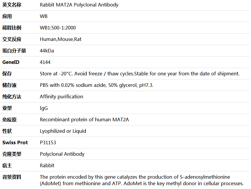 MAT2A Antibody,索莱宝,K005837P-50ul