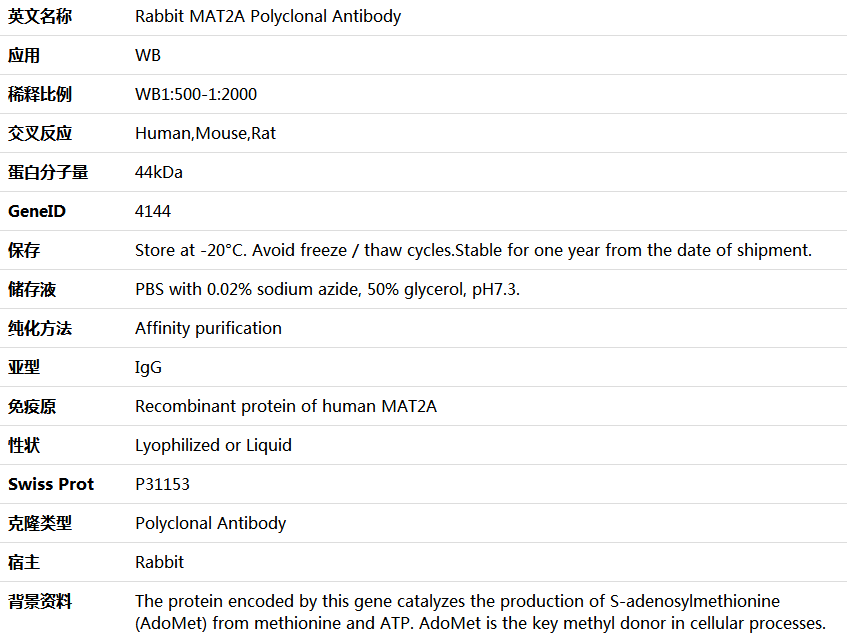 MAT2A Antibody,索莱宝,K005837P-100ul