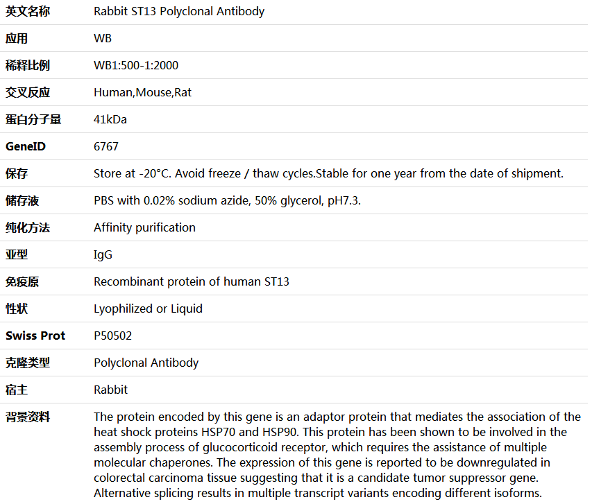 ST13 Antibody,索莱宝,K005851P-100ul