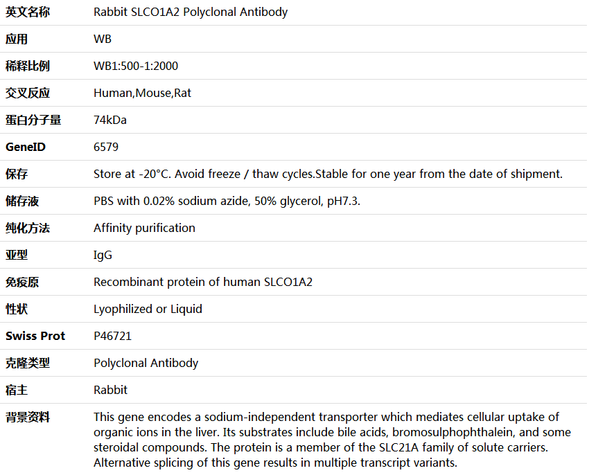 SLCO1A2 Antibody,索莱宝,K005849P-100ul