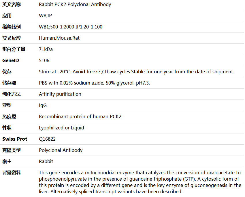 PCK2 Antibody,索莱宝,K005844P-100ul