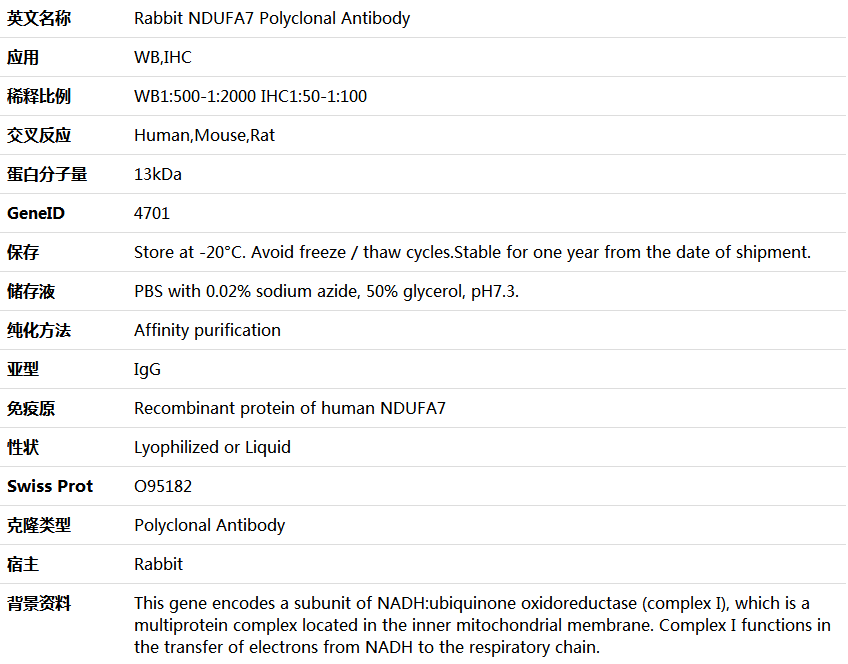 NDUFA7 Antibody,索莱宝,K005840P-50ul