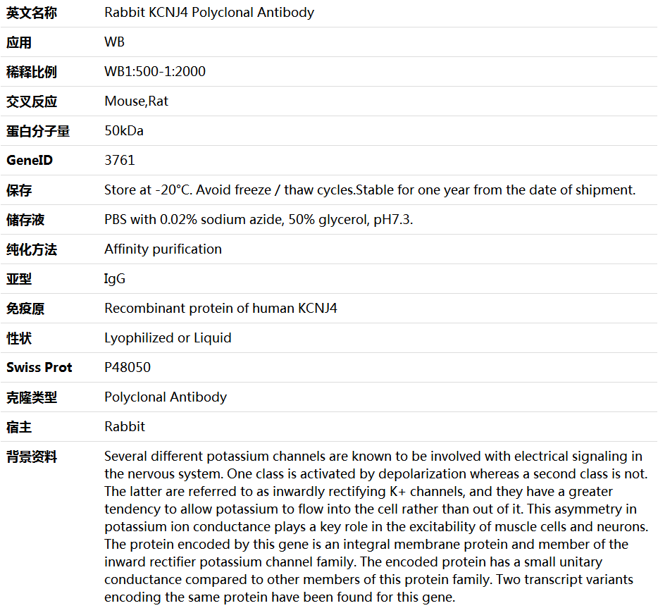 KCNJ4 Antibody,索莱宝,K005835P-50ul