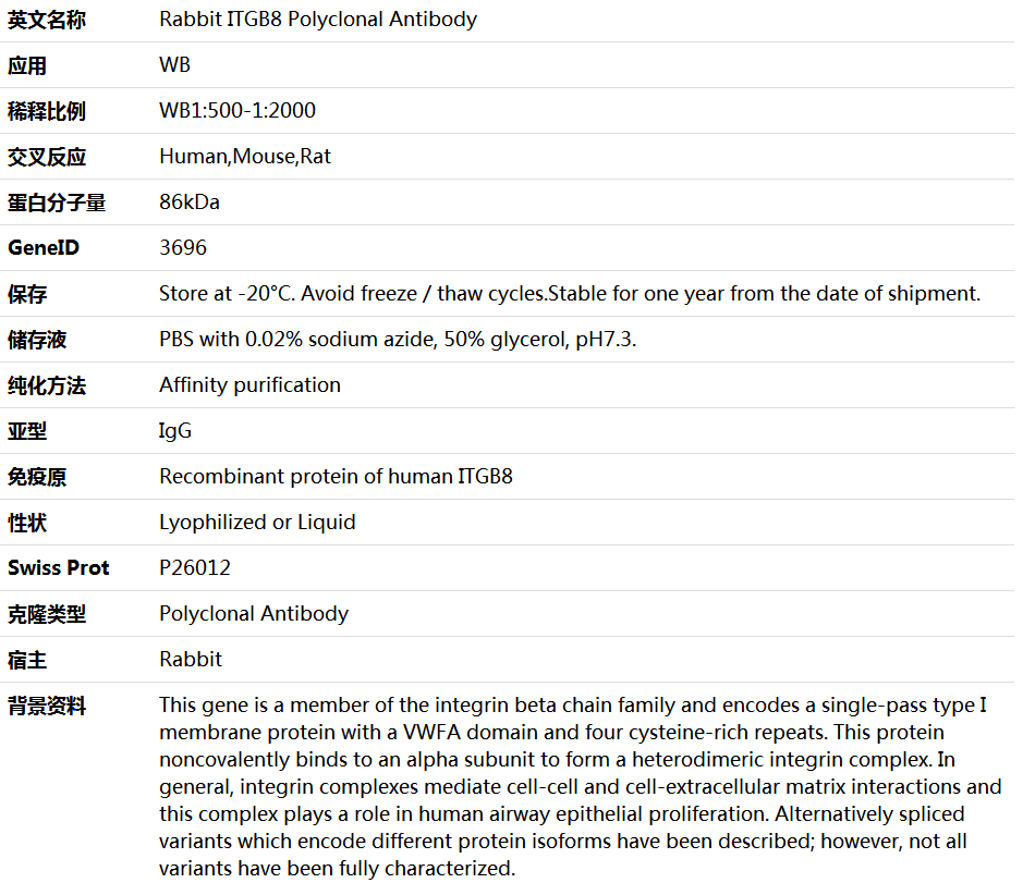 ITGB8 Antibody,索莱宝,K005834P-100ul