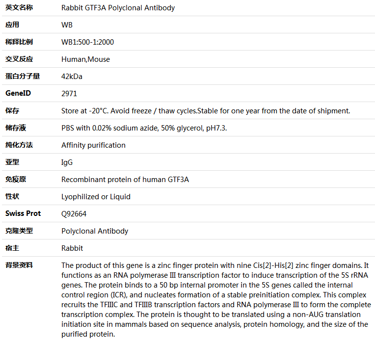 GTF3A Antibody,索莱宝,K005828P-100ul