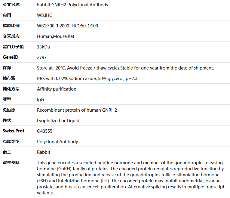 GNRH2 Antibody,索莱宝,K005826P-50ul