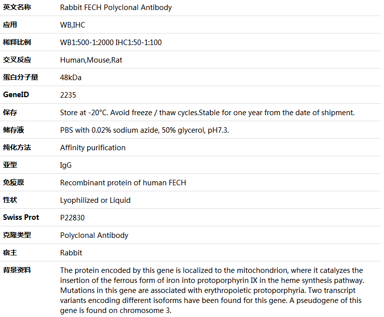 FECH Antibody,索莱宝,K005821P-100ul