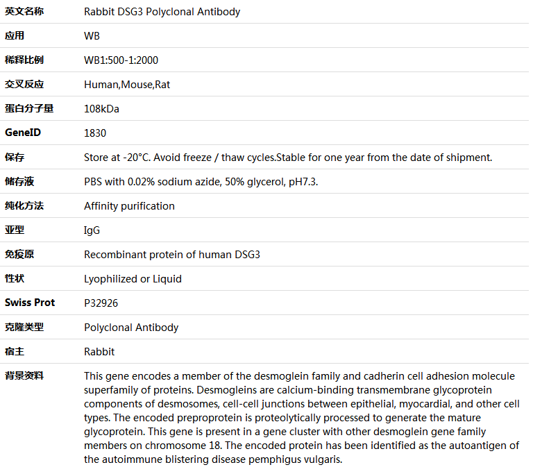 DSG3 Antibody,索莱宝,K005817P-30ul