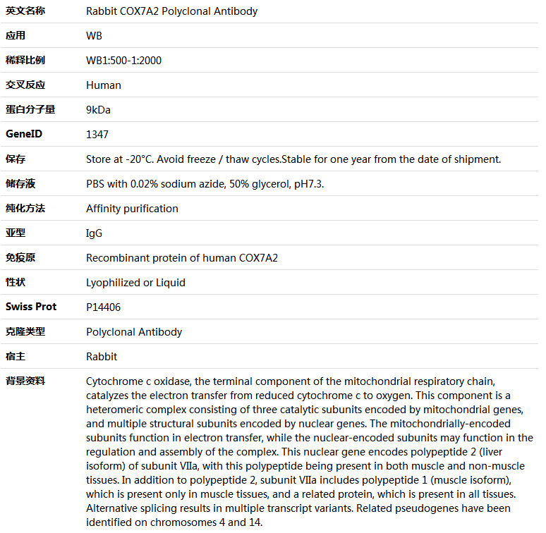 COX7A2 Antibody,索莱宝,K005814P-100ul