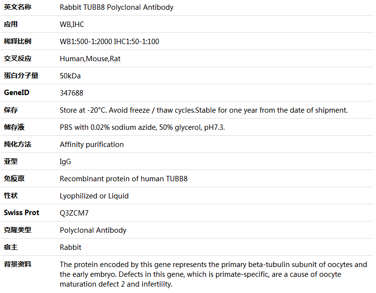 TUBB8 Antibody,索莱宝,K005806P-100ul