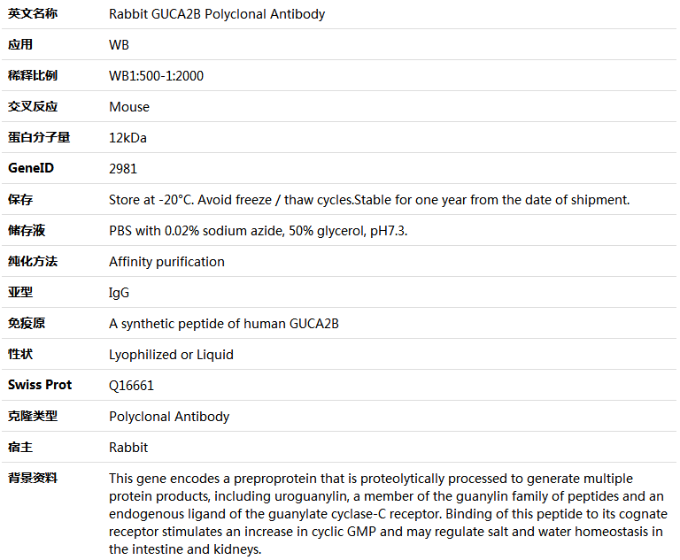 GUCA2B Antibody,索莱宝,K005803P-100ul
