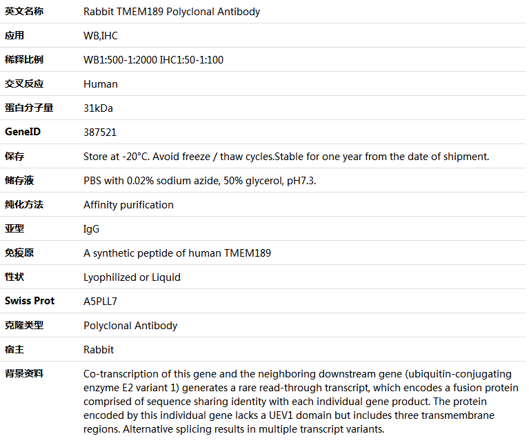 TMEM189 Antibody,索莱宝,K005799P-50ul