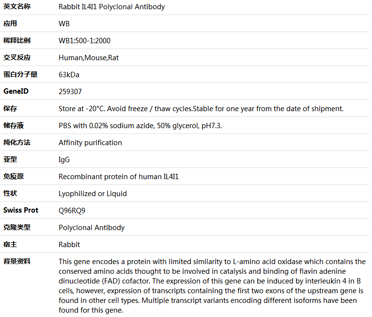 IL4I1 Antibody,索莱宝,K005797P-50ul