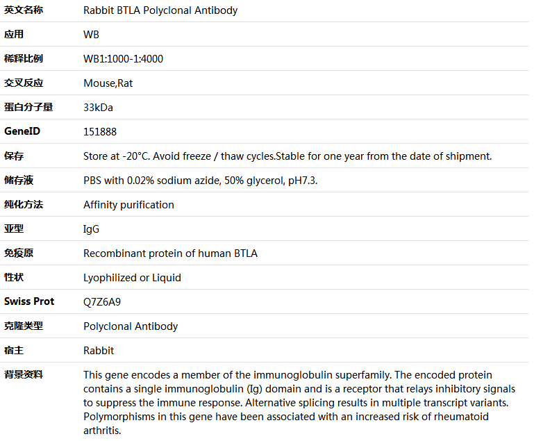 BTLA Antibody,索莱宝,K005796P-100ul