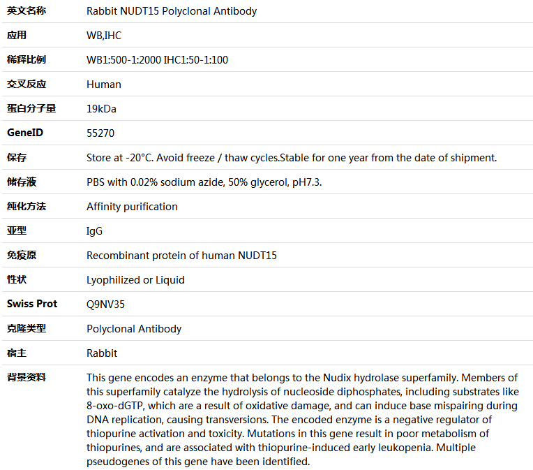 NUDT15 Antibody,索莱宝,K005789P-50ul