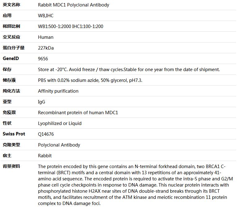 MDC1 Antibody,索莱宝,K005781P-100ul