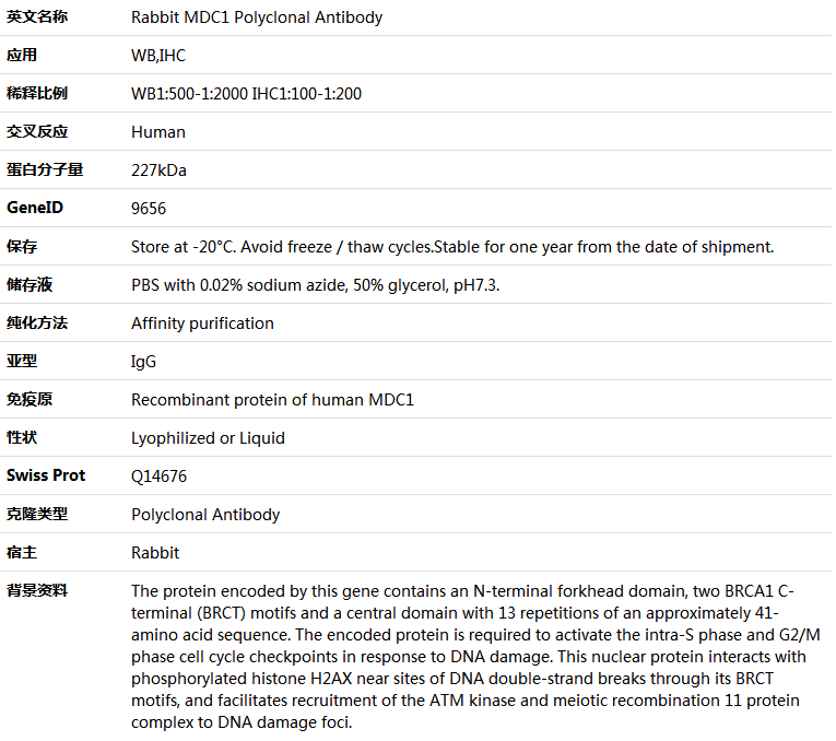 XPC Antibody,索莱宝,K005780P-100ul