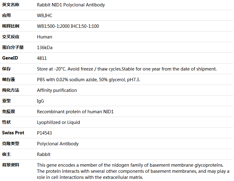 NID1 Antibody,索莱宝,K005775P-100ul