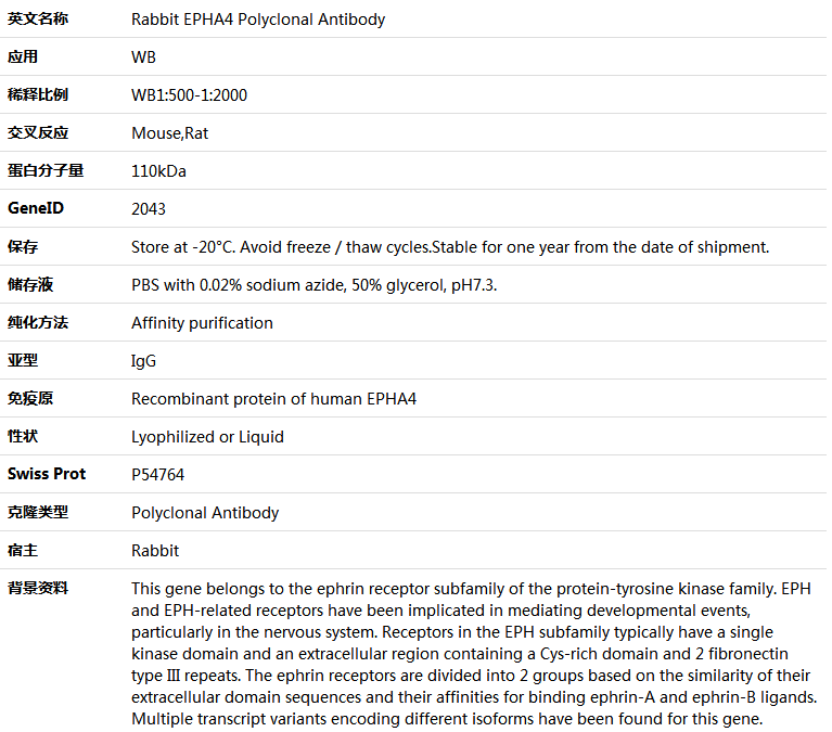 EPHA4 Antibody,索莱宝,K005773P-50ul