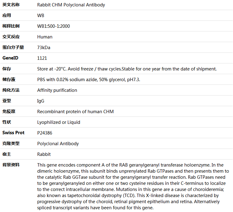 CHM Antibody,索莱宝,K005772P-100ul