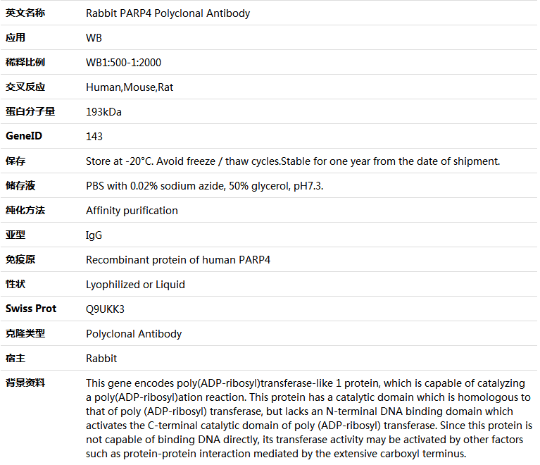 PARP4 Antibody,索莱宝,K005770P-50ul